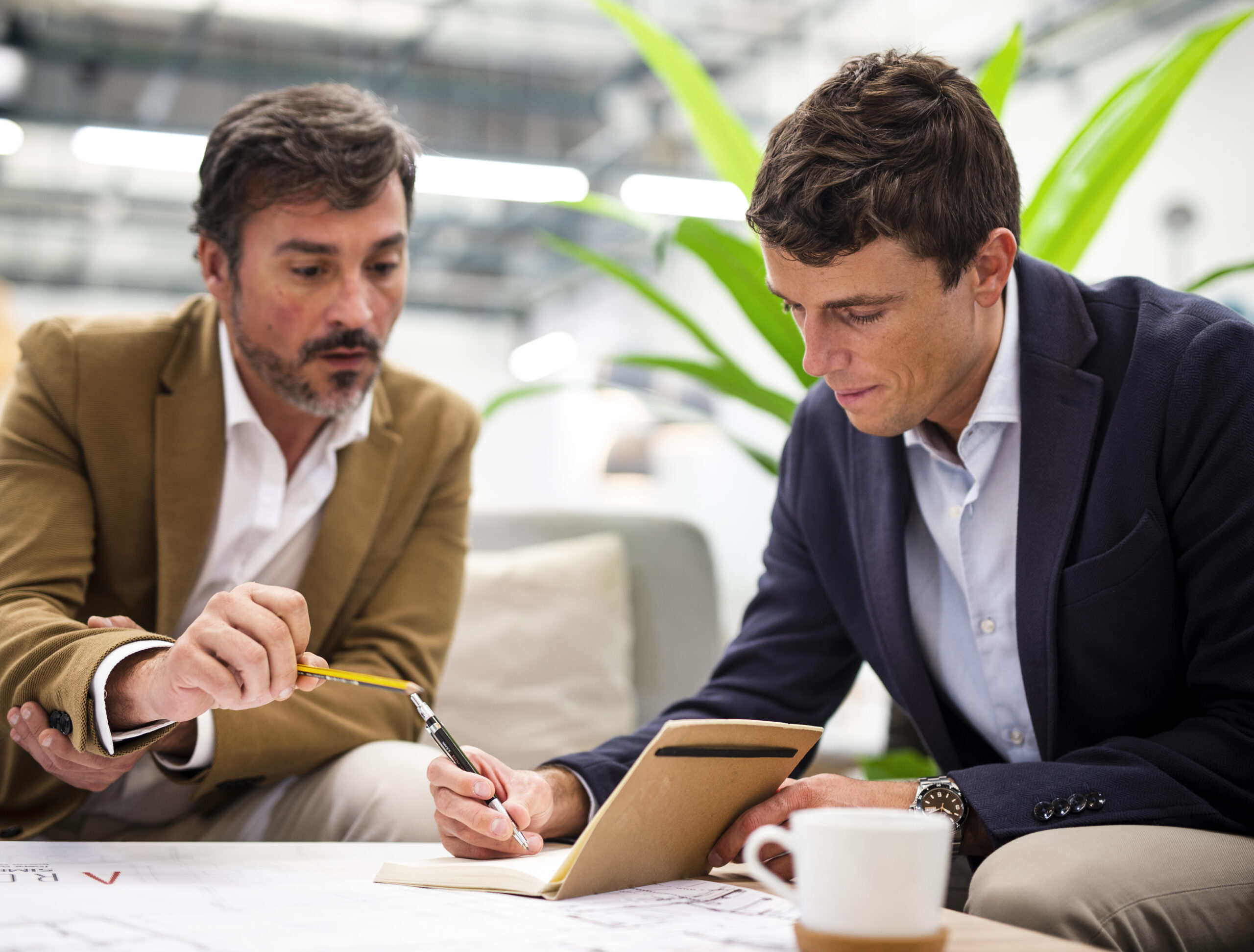 Business Consultation Business Consultation